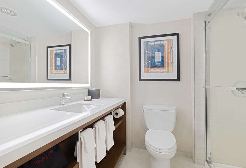 سوییت, Embassy Suites By Hilton Chicago Downtown River North