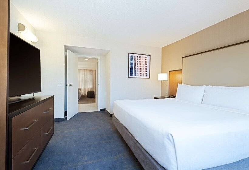 سوییت, Embassy Suites By Hilton Chicago Downtown River North