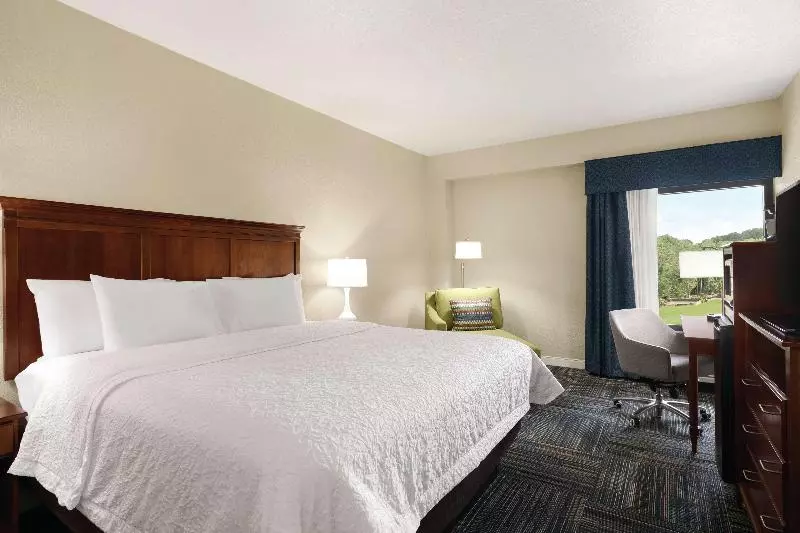 キングサイズベッドのスタンダードルーム, Hampton Inn Atlanta Stone Mountain