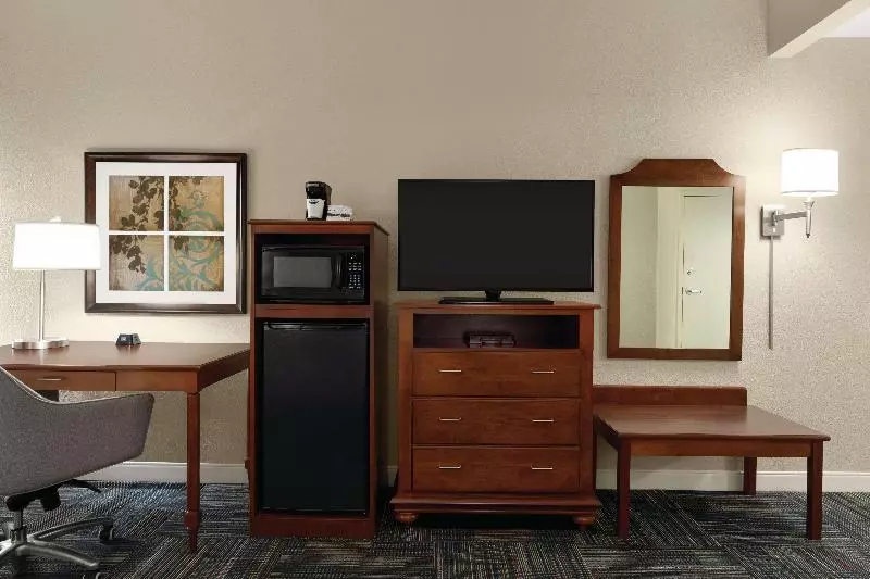キングサイズベッドのスタンダードルーム, Hampton Inn Atlanta Stone Mountain