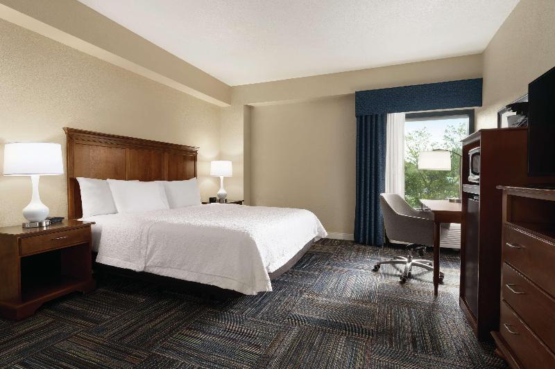 스탠다드 룸 킹사이즈 침대, Hampton Inn Atlanta Stone Mountain