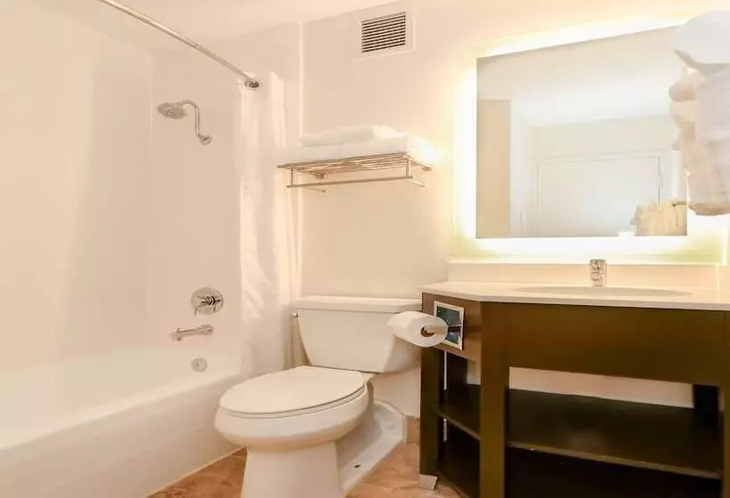 ２ダブルベッドのスタンダードルーム, Holiday Inn Resort Oceanfront At Surfside Beach, An Ihg