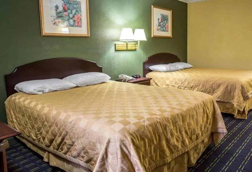 スタンダードルーム, Rodeway Inn & Suites Plymouth Hwy 64