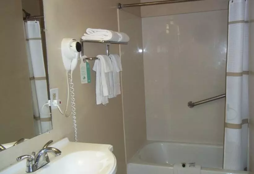 Cameră Standard Pat King Size, American Regency Inn