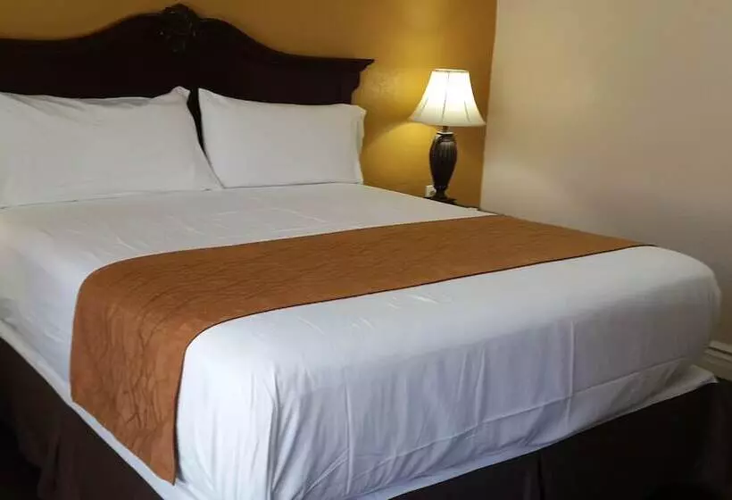 Cameră Standard Pat King Size, American Regency Inn