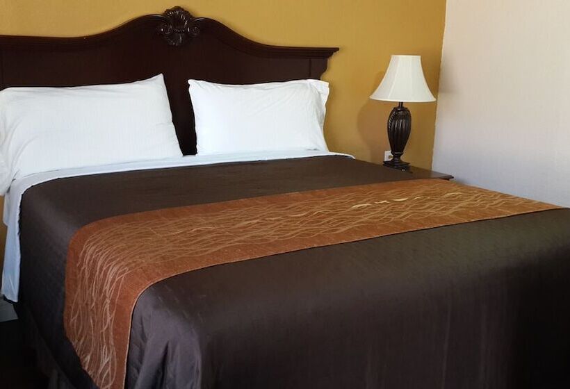 스탠다드 룸 킹사이즈 침대, American Regency Inn
