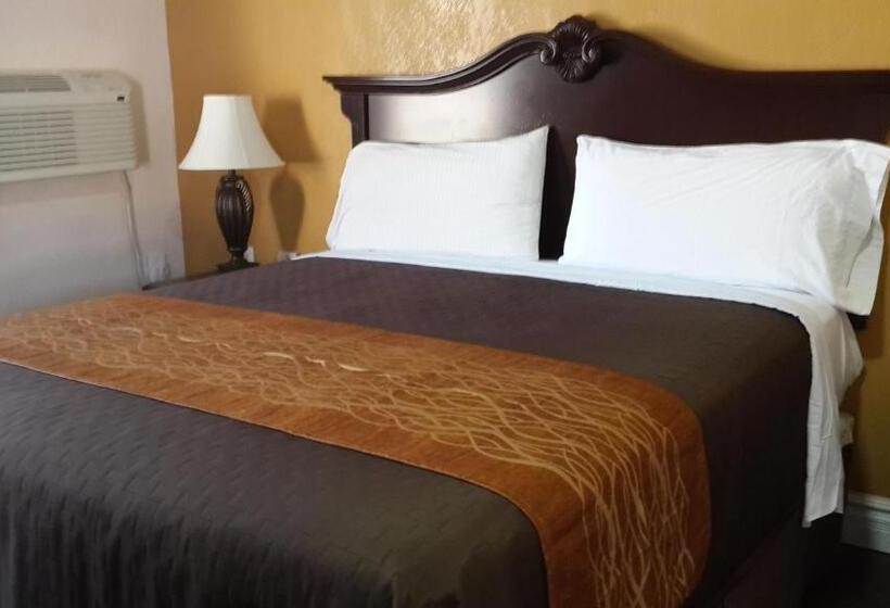 스탠다드 룸 킹사이즈 침대, American Regency Inn