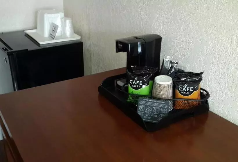 Cameră Standard, American Regency Inn