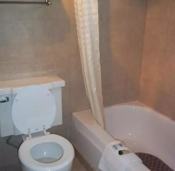 Cameră Standard, American Regency Inn