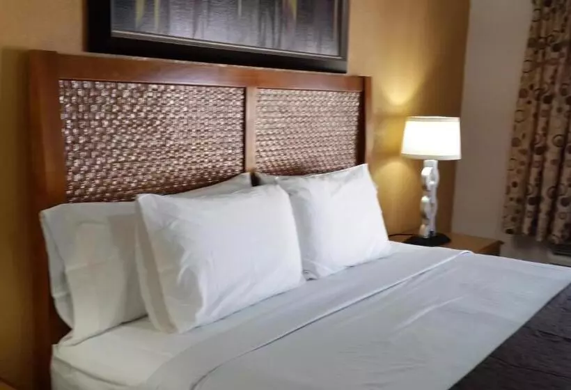 Cameră Deluxe Pat King Size, American Regency Inn