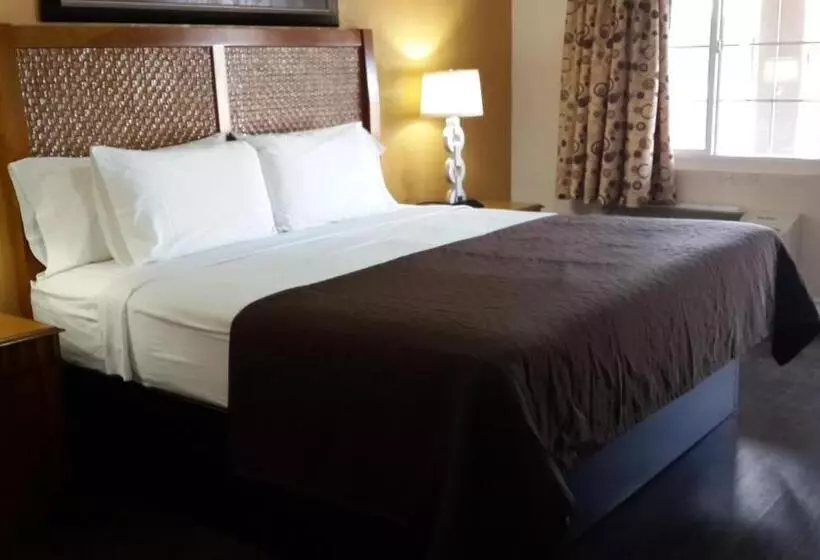 Cameră Deluxe Pat King Size, American Regency Inn