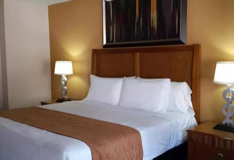 Cameră Deluxe Pat King Size, American Regency Inn