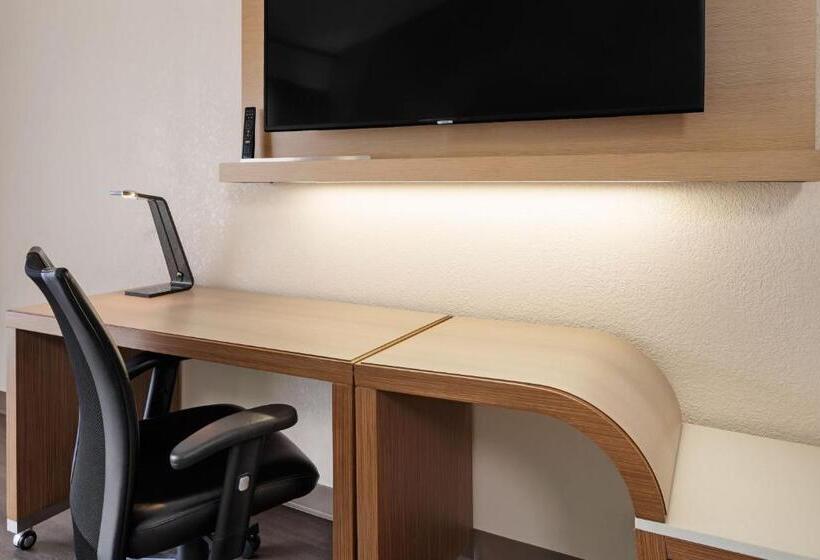 이그제큐티브 룸 킹사이즈 침대, Courtyard By Marriott San Diego Del Mar/solana Beach