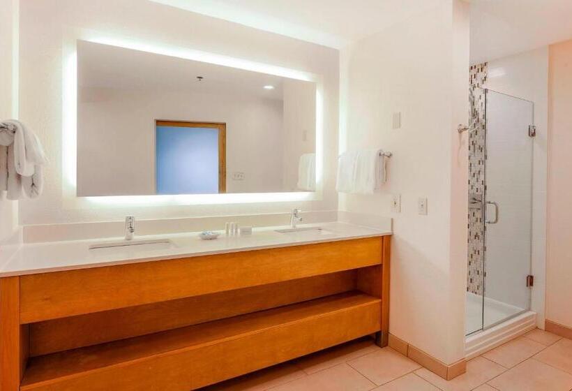 장애인을 위한 킹사이즈 침대 스탠다드 룸, Courtyard By Marriott San Diego Del Mar/solana Beach