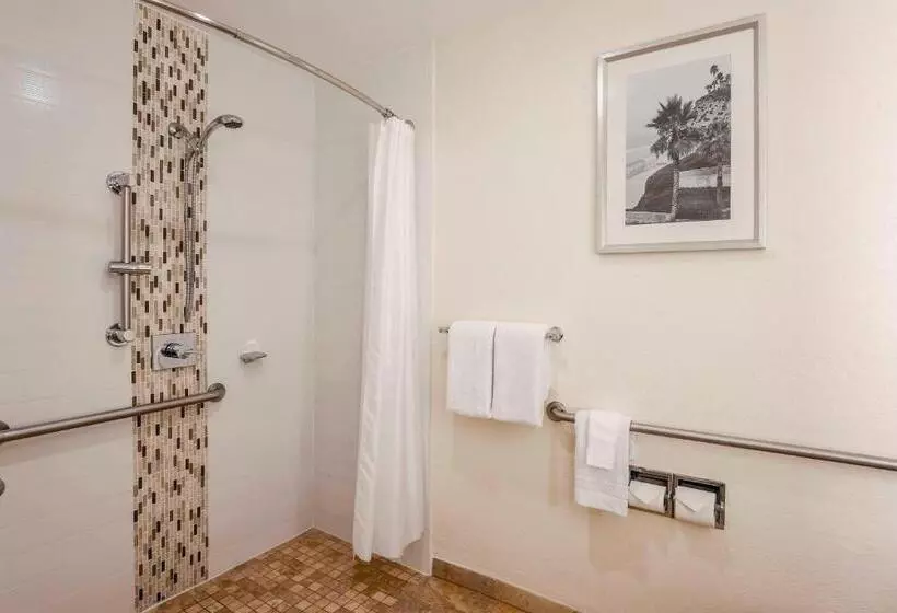 اتاق استاندارد با تخت بزرگ برای معلولان, Courtyard By Marriott San Diego Del Mar/solana Beach