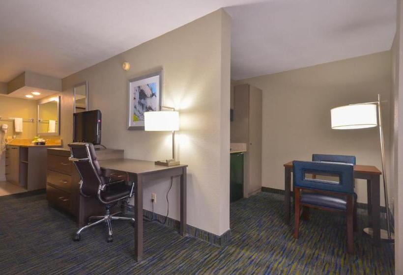 Стандартный Номер Кровать Кинг, Holiday Inn Express & Suites Fayetteville University Of Arkansas Area, An Ihg