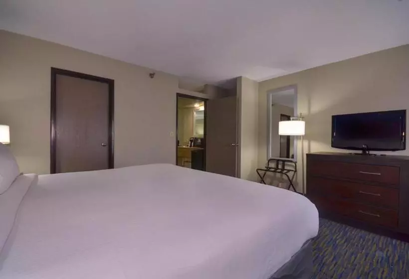 سوئیت اجرایی با تخت کینگ, Holiday Inn Express & Suites Fayetteville University Of Arkansas Area, An Ihg