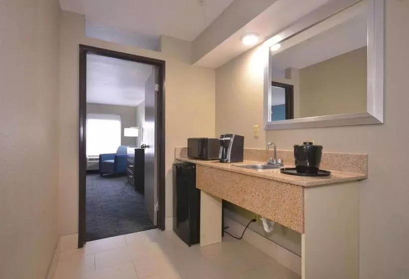 سوئیت اجرایی با تخت کینگ, Holiday Inn Express & Suites Fayetteville University Of Arkansas Area, An Ihg