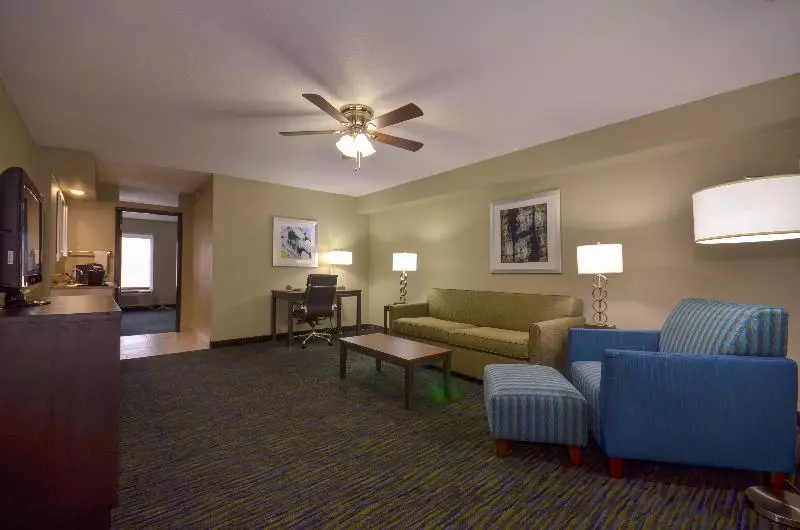 اتاق استاندارد با تخت بزرگ, Holiday Inn Express & Suites Fayetteville University Of Arkansas Area, An Ihg