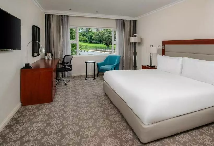 身障者適用スタンダードルーム, Holiday Inn   Johannesburg Sunnyside Park, An Ihg