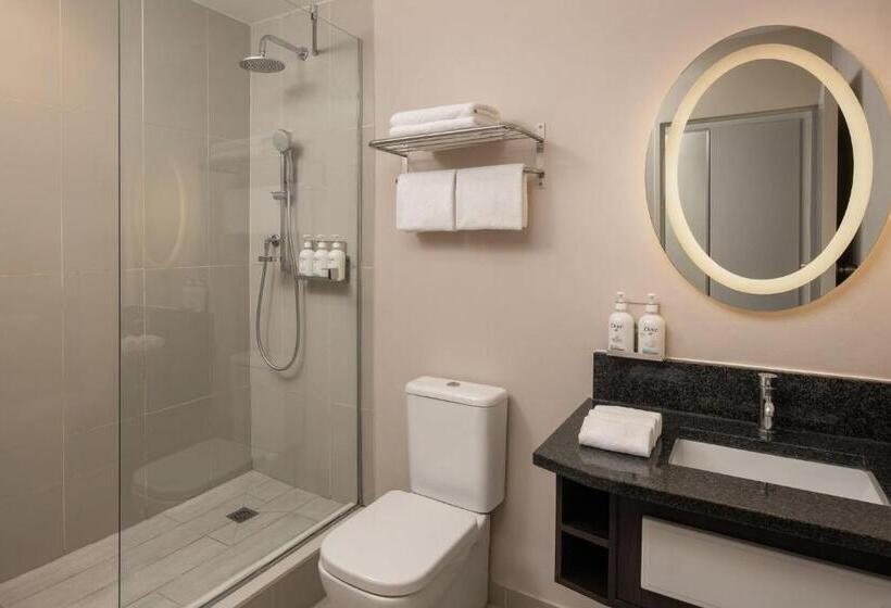 스탠다드 룸 더블 침대 2개, Holiday Inn   Johannesburg Sunnyside Park, An Ihg