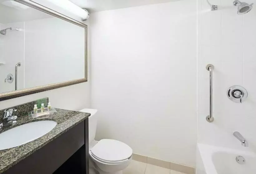２ダブルベッドのスタンダードルーム, Holiday Inn & Suites Across From Universal Orlando, An Ihg