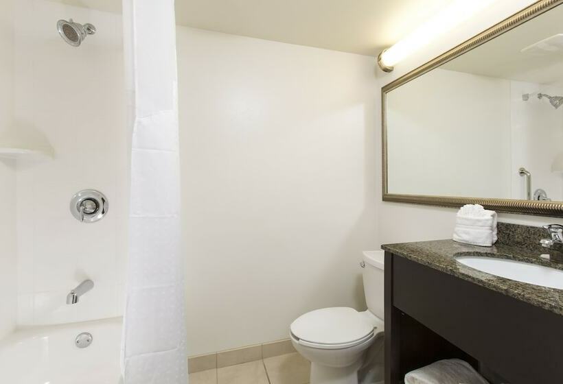 סוויטה מותאמת לאדם עם מוגבלויות, Holiday Inn & Suites Across From Universal Orlando, An Ihg