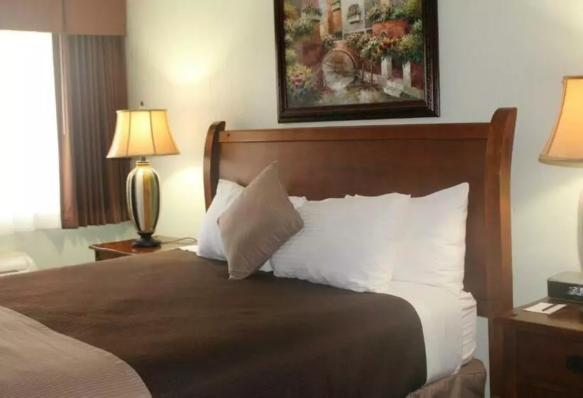 اتاق استاندارد با تخت بزرگ, O'cairns Inn And Suites