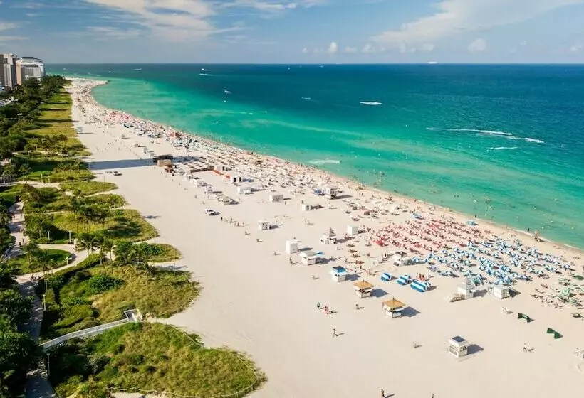 اتاق پرمیوم با چشم‌انداز دریا, Sls South Beach