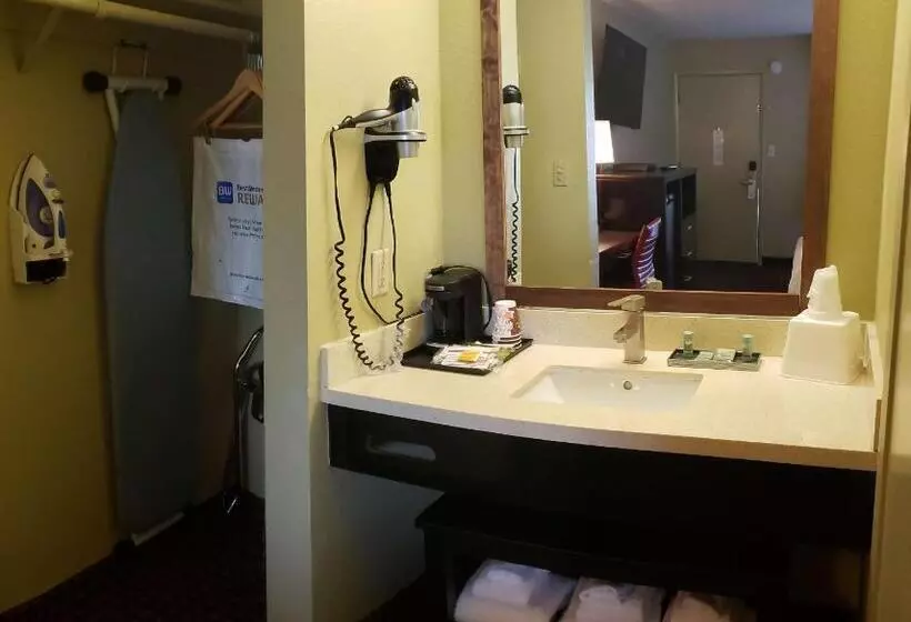 اتاق استاندارد با تخت بزرگ, Surestay Hotel By Best Western Vallejo Napa Valley