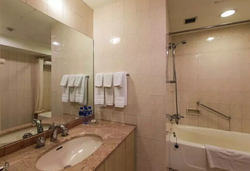 １ベッドルームのデラックスアパートメント, Ruishi Hotel Dalian