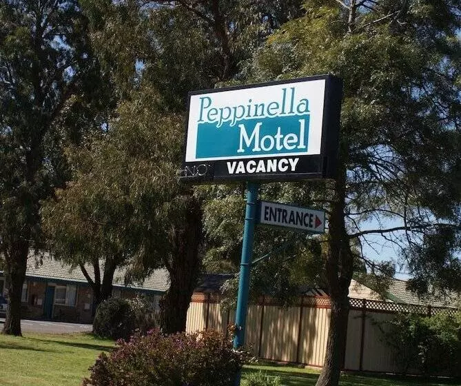 デラックスルーム, Peppinella Motel