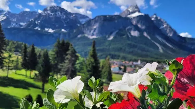 バルコニー付スイート, Wellness & Sporthotel Alpenhof