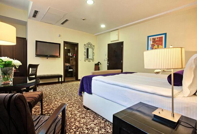 اتاق استاندارد, Central Sarajevo