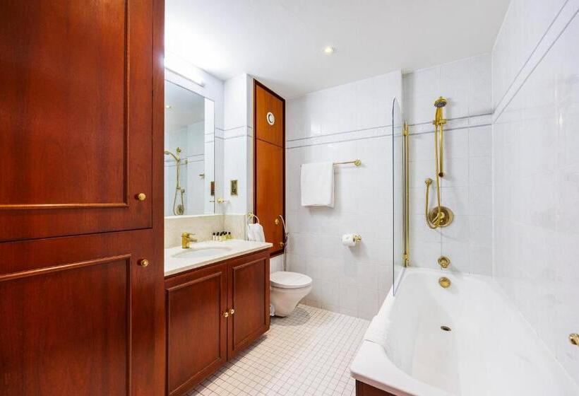 带1个卧室的豪华公寓, Carlton Court Mayfair