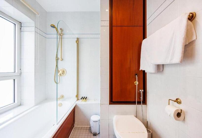 带3个卧室的公寓, Carlton Court Mayfair