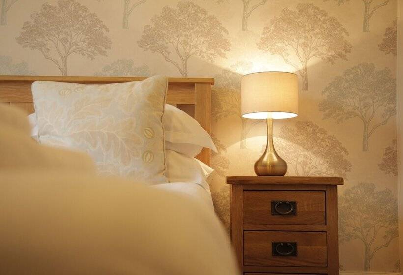 ベーシックルーム, B+b York