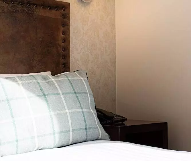 スタンダード４人部屋, Scotland S Spa