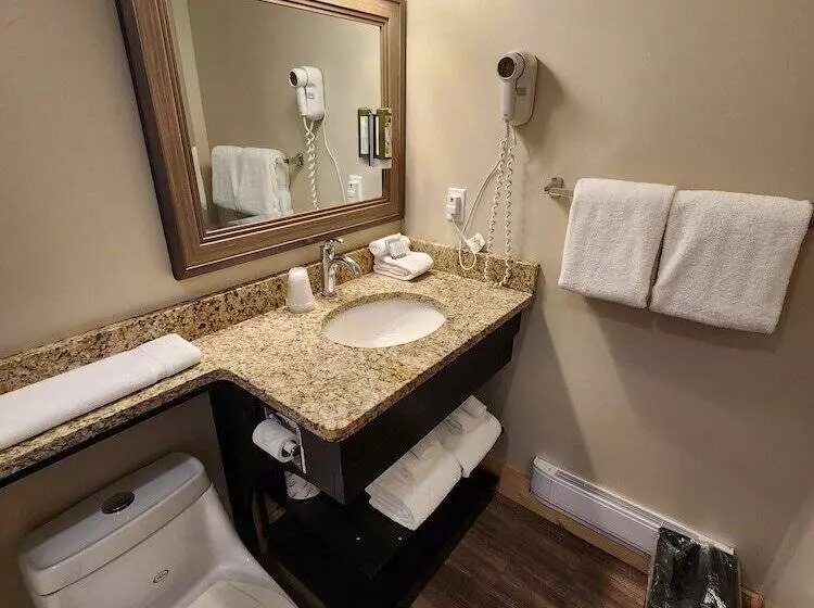 Standard-huone, Aspen Village