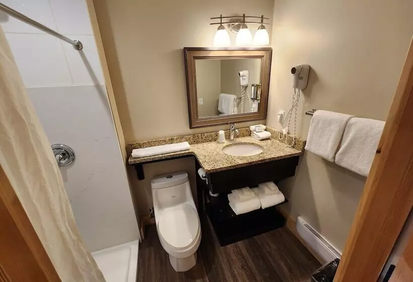 Standard-huone, Aspen Village