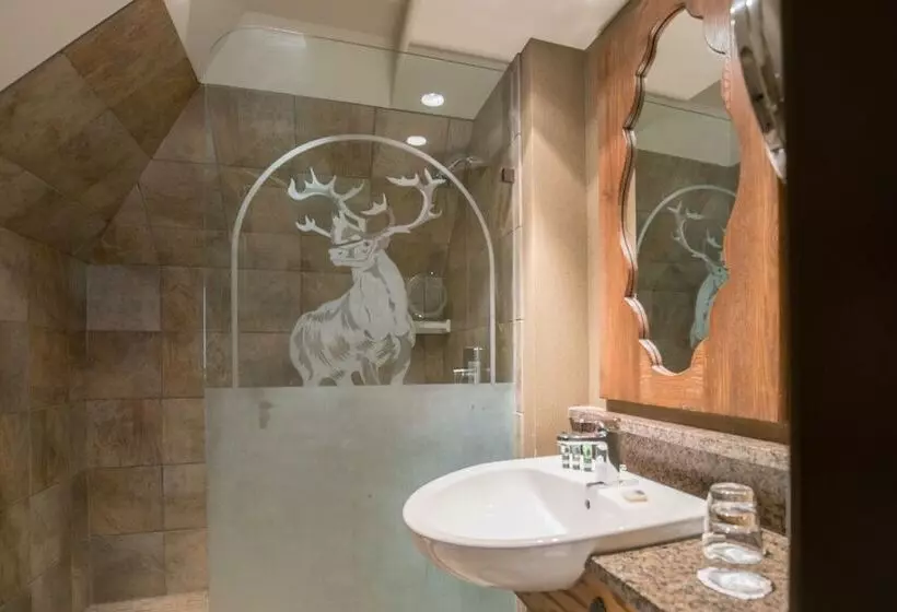 スタンダードルーム, Banff Caribou Lodge And Spa