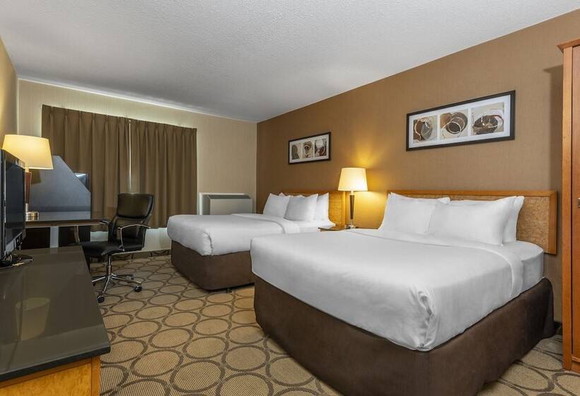 带2个双人床的标准工作室, Comfort Inn