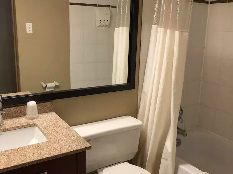 اتاق استاندارد با 2 تخت دوبل, Days Inn By Wyndham Terrace