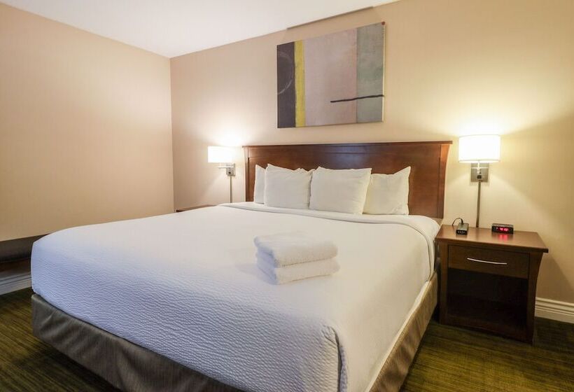 ２ベッドルームアパートメント, Northwinds Hotel Revelstoke