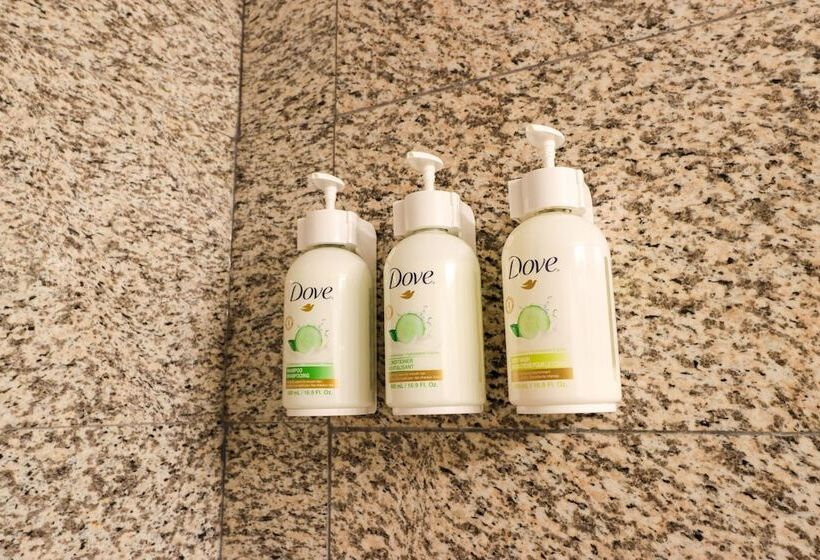 דירת שני חדרים, Northwinds Hotel Revelstoke