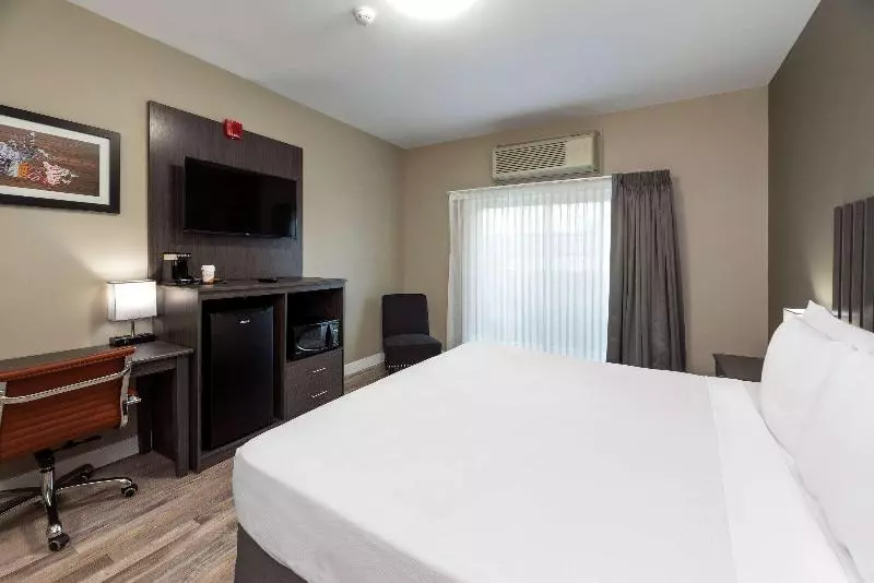 اتاق استاندارد با تخت بزرگ, Econo Lodge