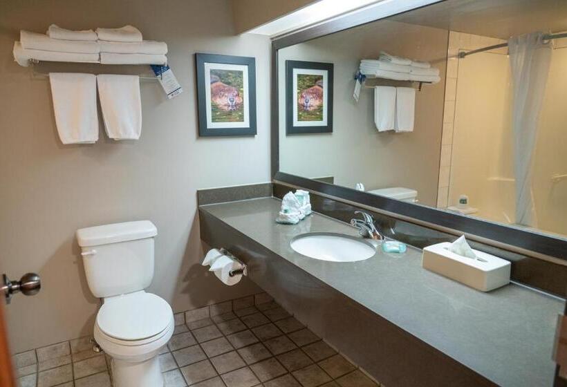 수피리어 룸, Pocaterra Inn & Waterslide