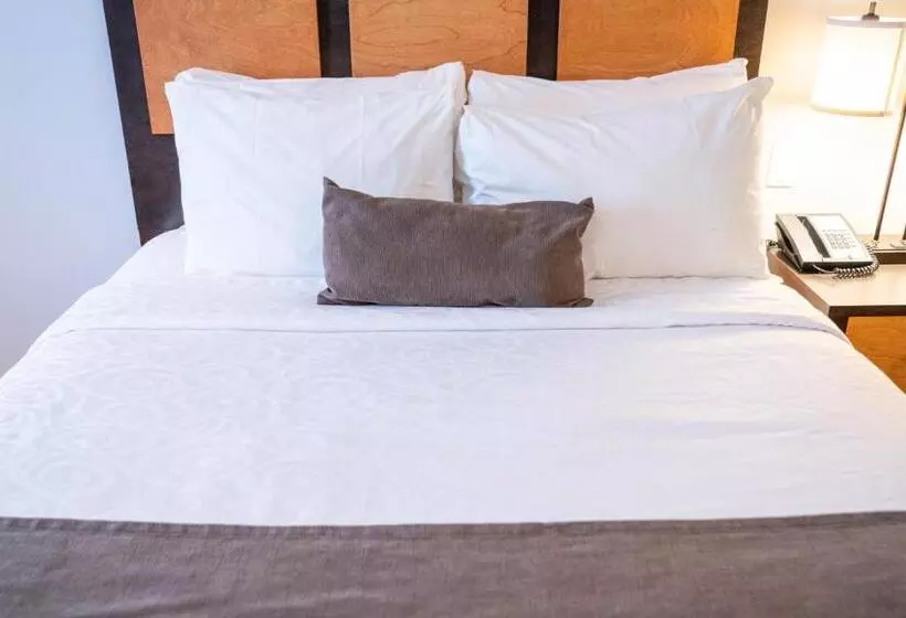 اتاق سوپریور, Pocaterra Inn & Waterslide