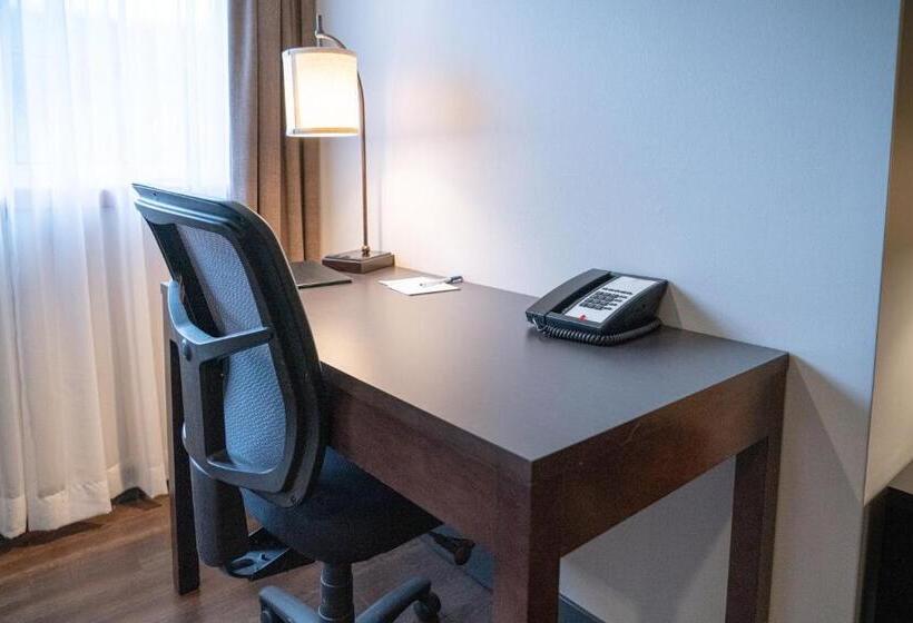 수피리어 스위트, Pocaterra Inn & Waterslide