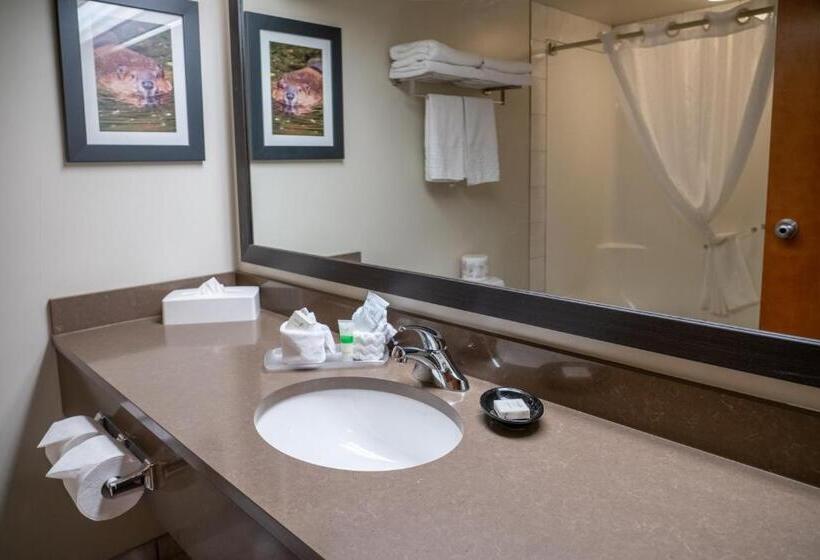 스탠다드 룸, Pocaterra Inn & Waterslide